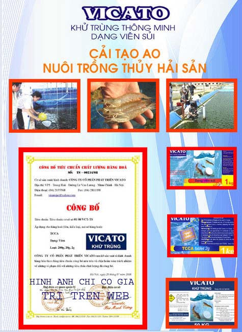 banner thuy san